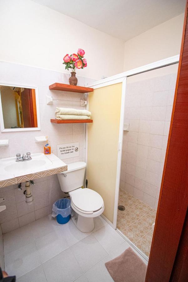 La Casa Del Almendro Otel Playa del Carmen Dış mekan fotoğraf